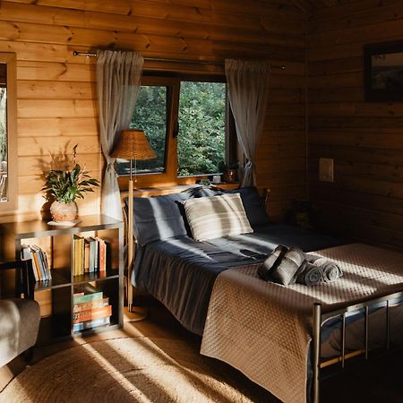 Beržų namelis - Birch cabin Kutsyuny Exterior foto