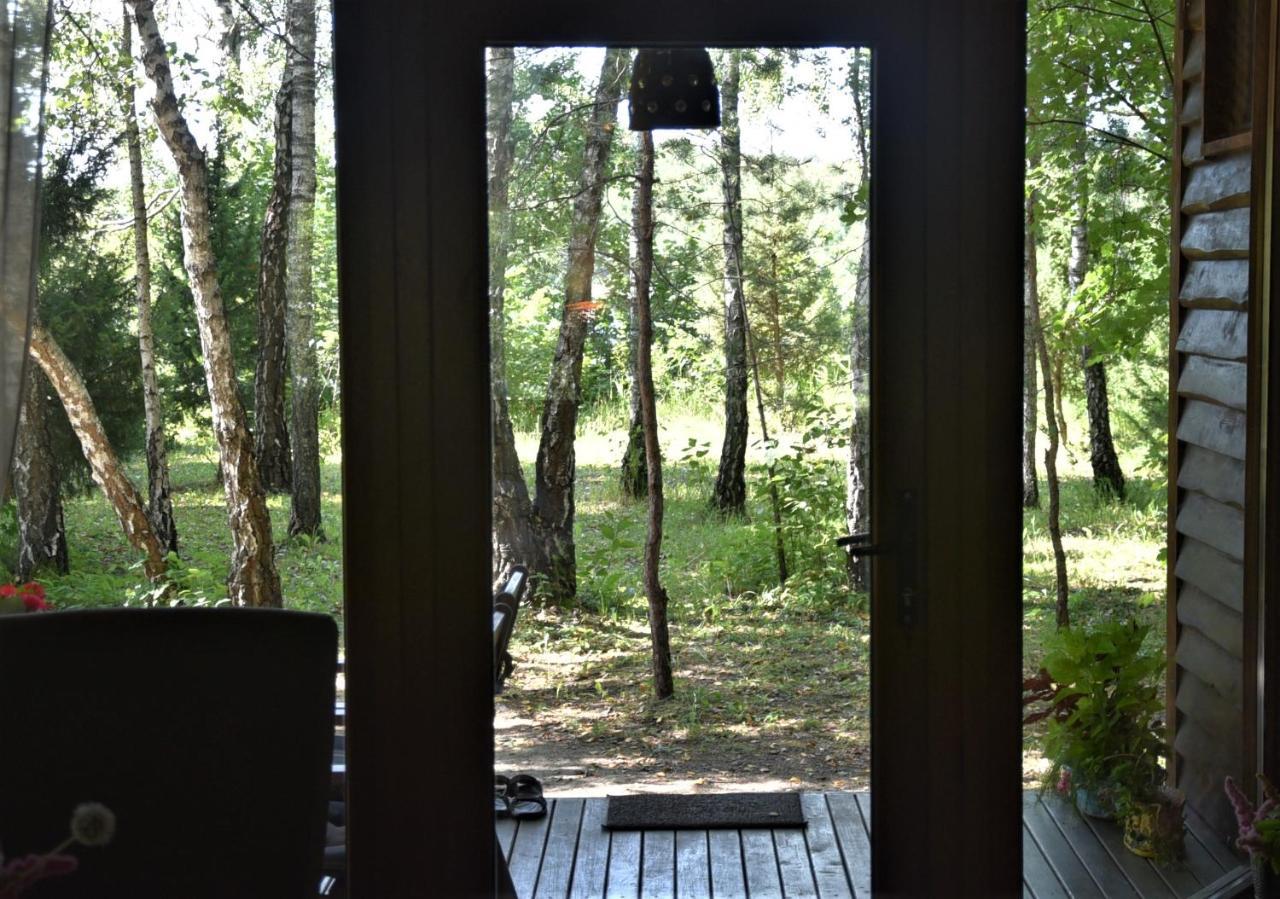 Beržų namelis - Birch cabin Kutsyuny Exterior foto