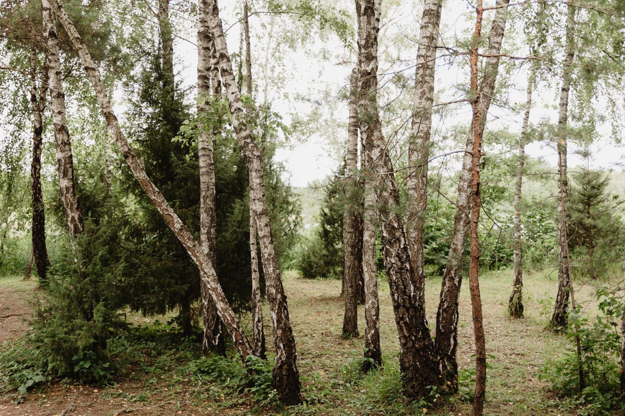 Beržų namelis - Birch cabin Kutsyuny Exterior foto
