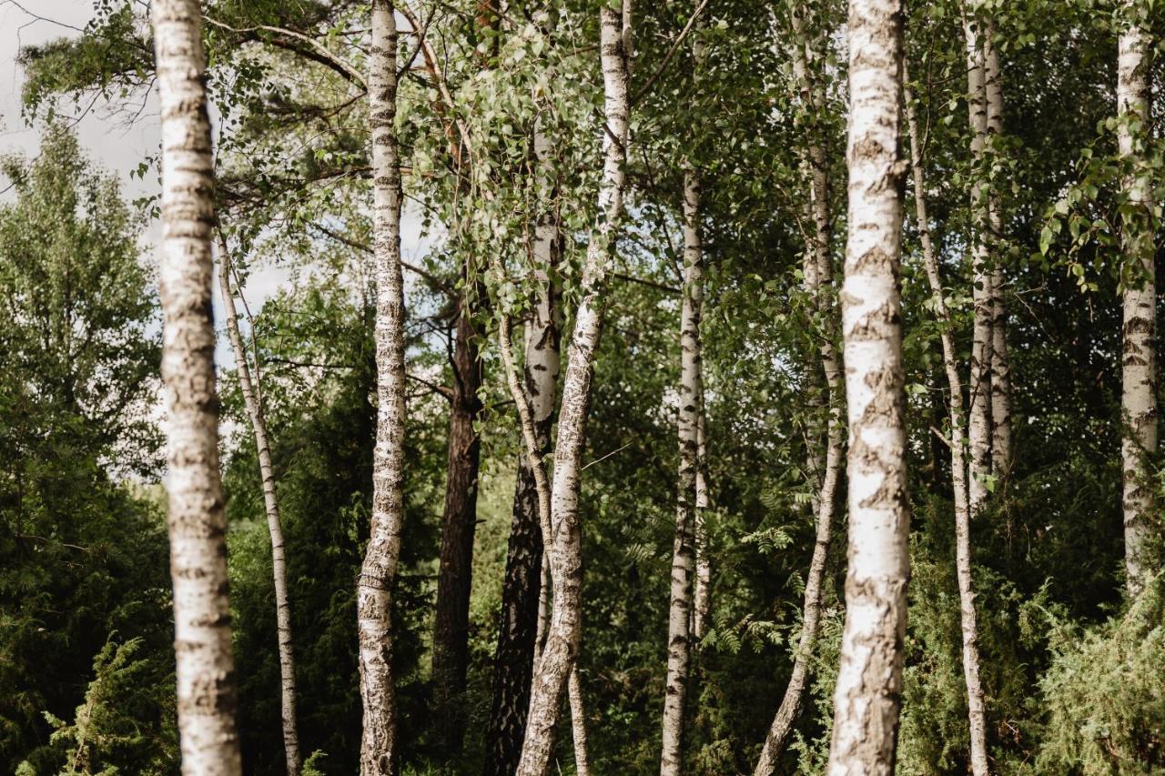 Beržų namelis - Birch cabin Kutsyuny Exterior foto