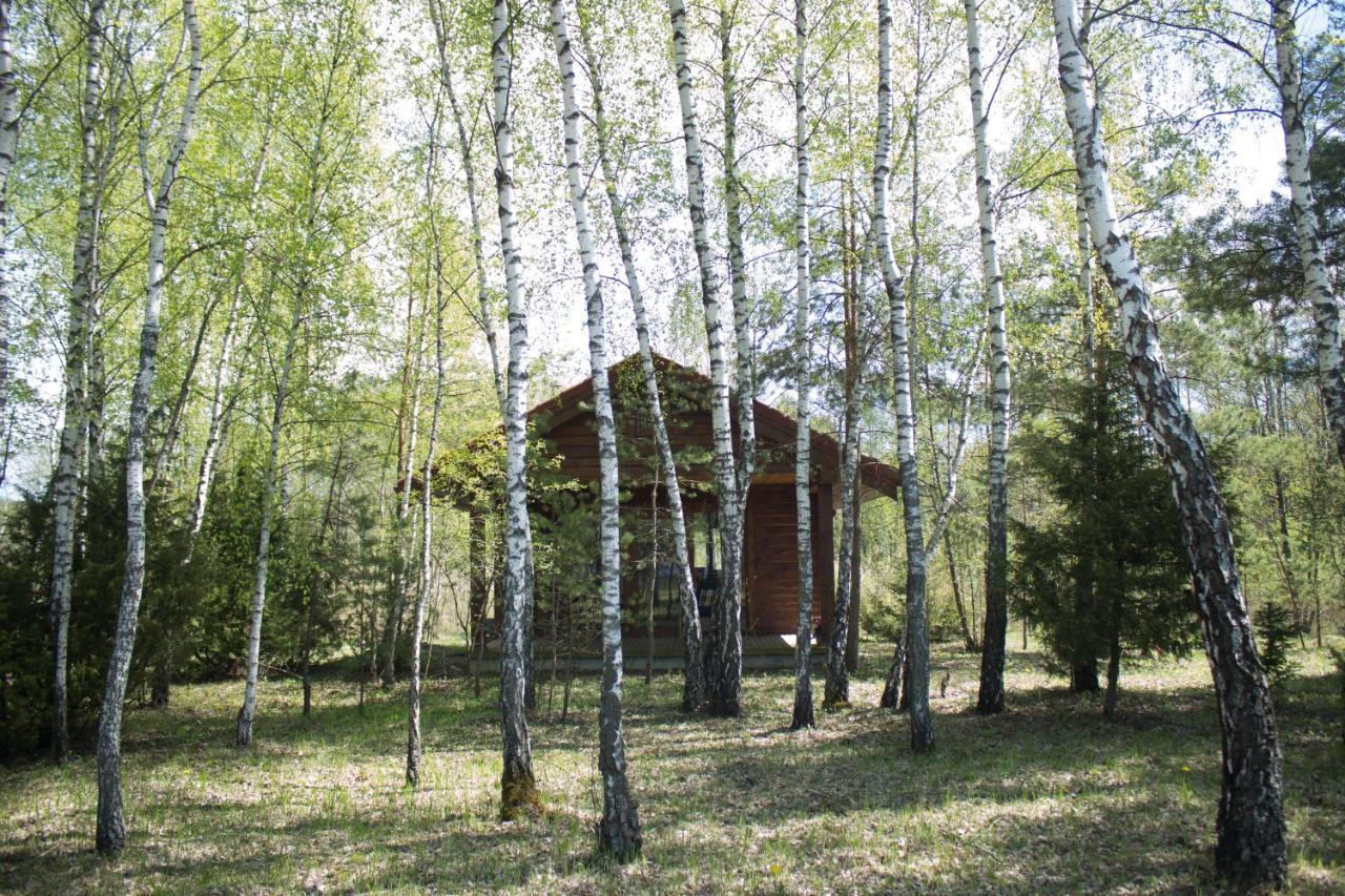 Beržų namelis - Birch cabin Kutsyuny Exterior foto